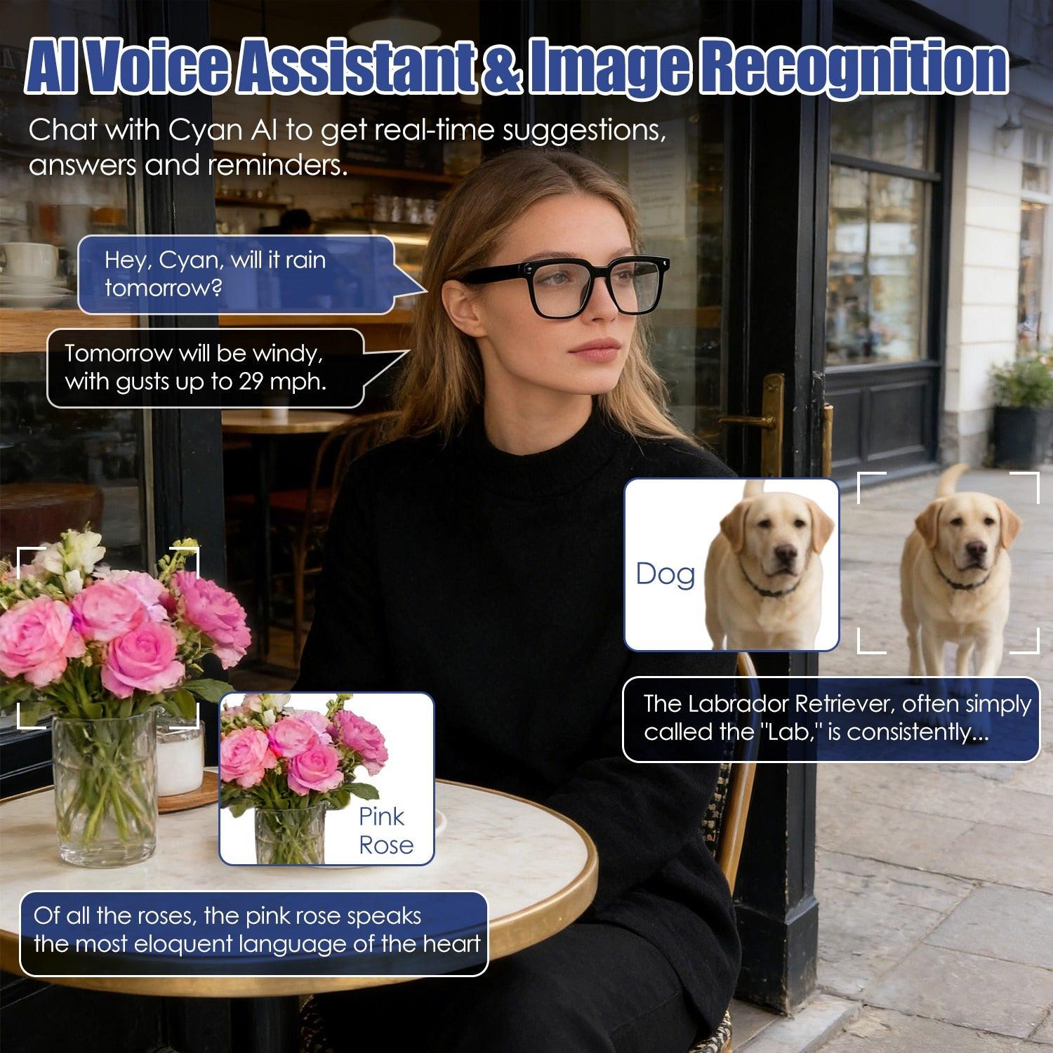 DashVision AI Smart Glasses™ – Camera, Translation &amp; Voice Assistant